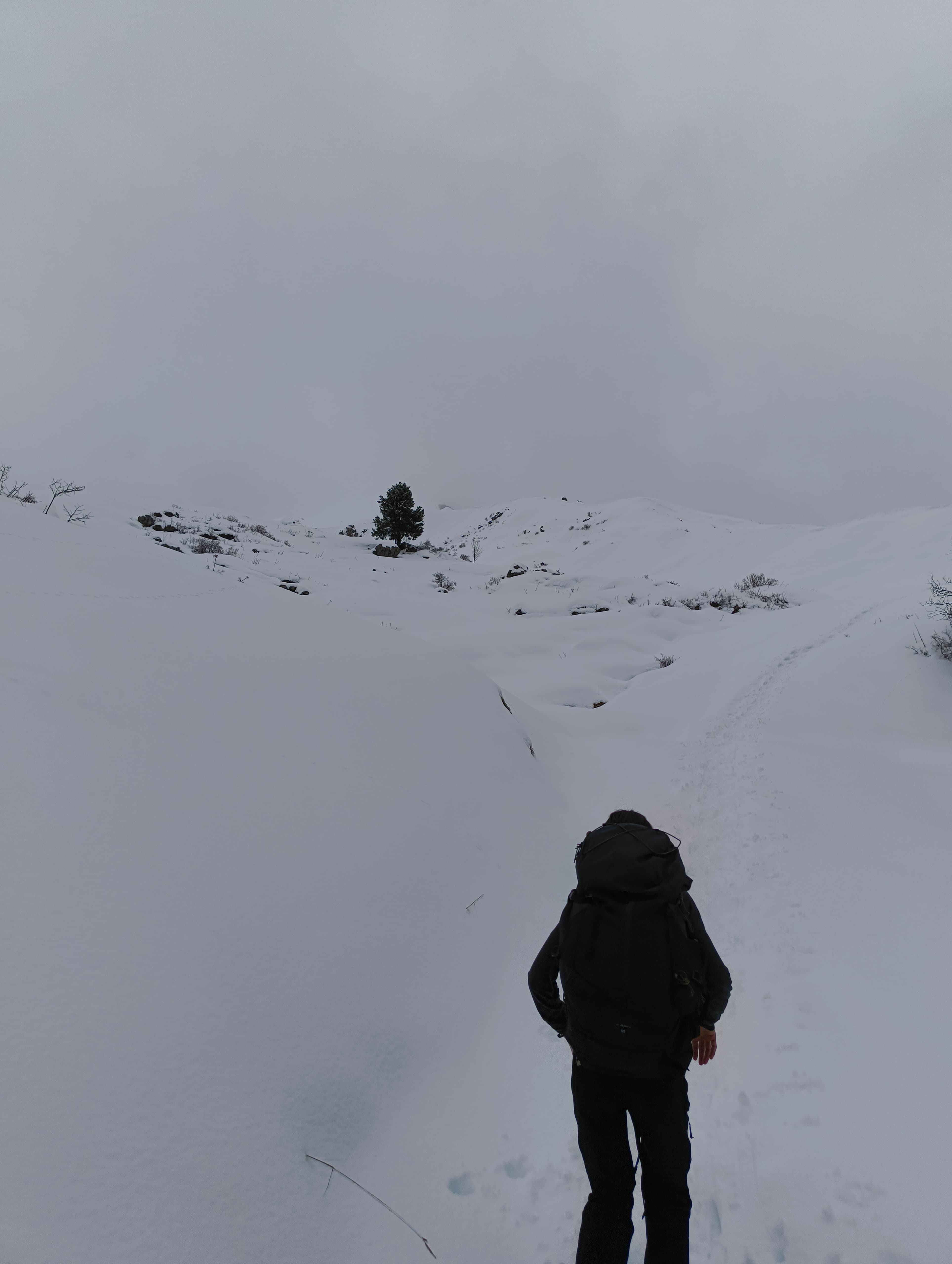 Foto n° 10 del trekking Monte Sodadura